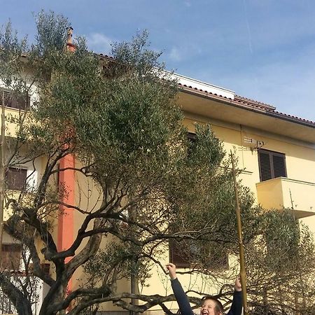 Ferienwohnung Begovi Dvori Rab Town Exterior foto